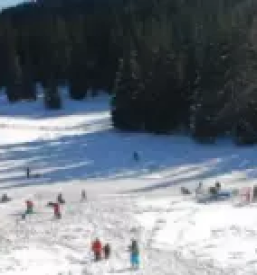 Tečaj smučanja na Gorenjskem