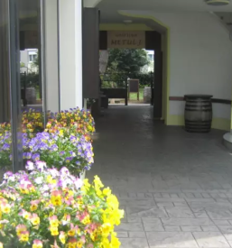 Dobra domaca gostilna goriska