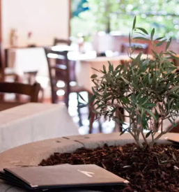 Dobra kosila nova gorica