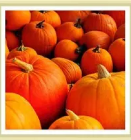 Dobro gostisce nova gorica