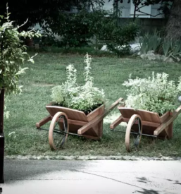 Dobro gostisce nova gorica