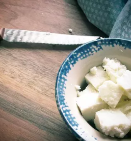 Domaci kozji sir savinjska