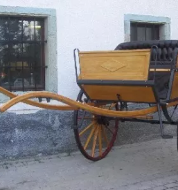 Izdelava in obnova kocij gorenjska