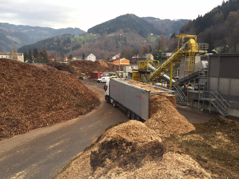 Odkup in prodaja lesa Savinjska, Slovenija in tujina