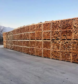 Odkup in prodaja lesa slovenija in tujina