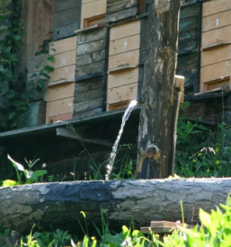 Turizem na kmetiji Savinjska