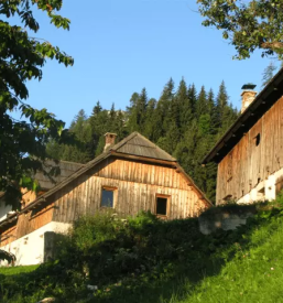 Kmečki turizem Logarska Dolina