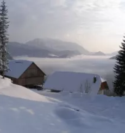 Apartma Logarska Dolina