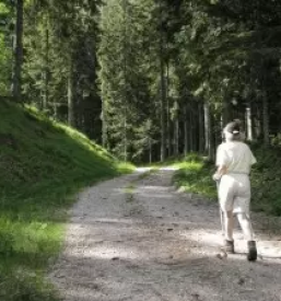 Kmetija Savinjska, Logarska Dolina