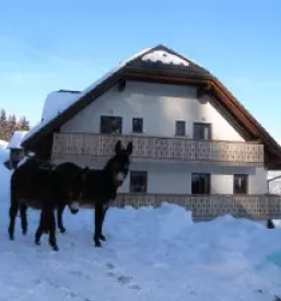 Turizem na kmetiji Logarska Dolina cena