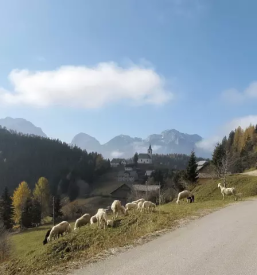 Turizem na kmetiji Logarska Dolina cenik