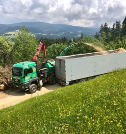Zaganje in skobljanje lesa v sloveniji in tujini