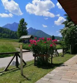 Apartma s pogledom na gore kranjska gora