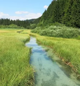 Apartma s pogledom na gore kranjska gora