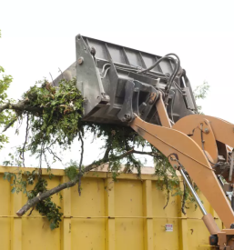 Ciscenje zaraslih povrsin stajerska