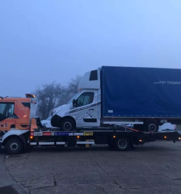 Hitra avtovleka goriska