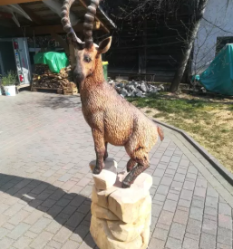 Kip iz lesa Slovenija