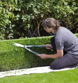 Kvalitetne baterijske vrtne kosilnice slovenija