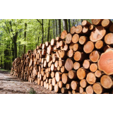 Gozdarstvo Majer, Matic Majer s.p.