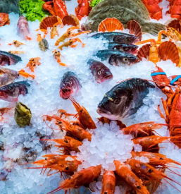 Ugodna veleprodaja morske hrane po Sloveniji