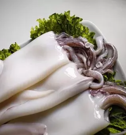 Veleprodaja skoljk po sloveniji