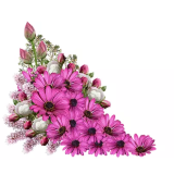 Cvetličarna Darja, Lamovšek Darja s.p.