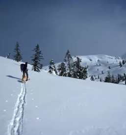 Gorski vodnik na triglav