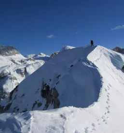 Gorski vodnik po slovenskih planinah