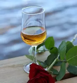 Ugodna prodaja žganja Primorska