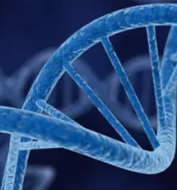 Storitve za osebnostno rast Slovenija