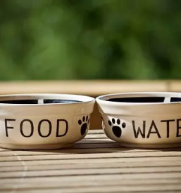 Varstvo psov ljubljana sentvid