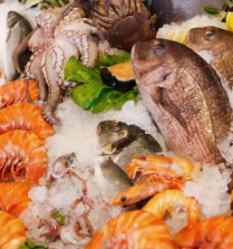 prodaja morske hrane po sloveniji