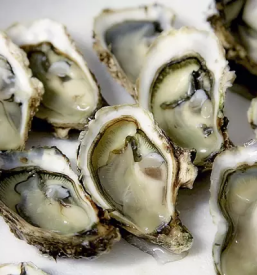 Prodaja morske hrane