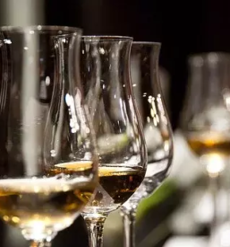 Vino zganje likerji primorska