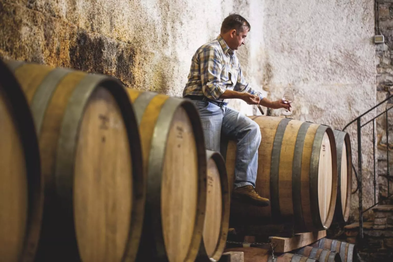 Poskusite vrhunska vina na Goriškem