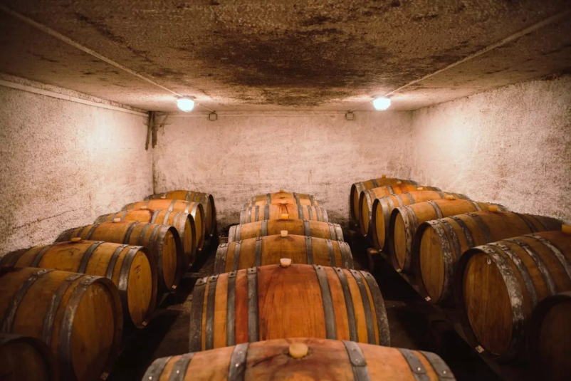 Vrhunska vina in Goriška vas vabijo