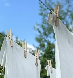 Detergenti in cistila za ciscenje in pranje sezana