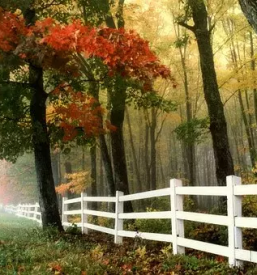 Dvoriscne ograje na podrocju celotne slovenije