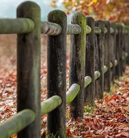 Dvoriscne ograje na podrocju celotne slovenije