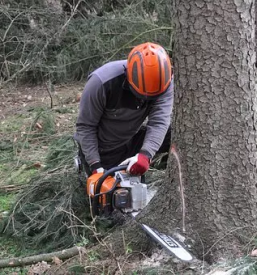 Gozdarske storitve vodice kranj ljubljana