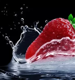 Haccp izobrazevanje podravska