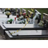 VOJKO HRIBERNIK S.P.