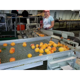 METKA MATJAŠIČ S.P.