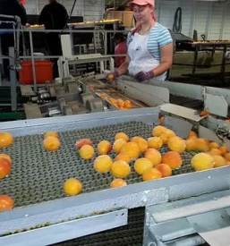 Laboratorijske analize zivil in pitne vode ter nadzor nad pitno vodo ptuj slovenija