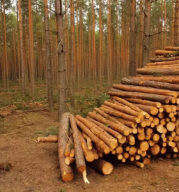 Pomoc in psihosocialno svetovanje odvisnikom slovenija