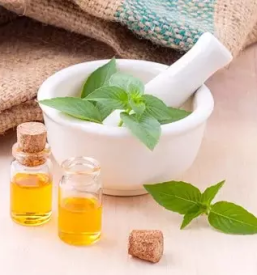 Predelava zdravilnih zelisc gorenjska