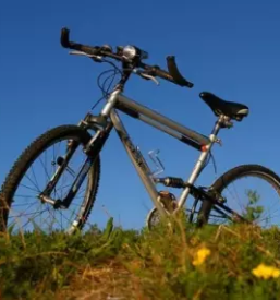 Izdelki znamke Magura