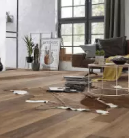 Prodaja in polaganje vseh talnih oblog slovenija