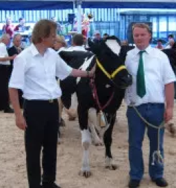 Prodaja mleka Litija