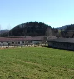 Prodaja domačega mleka in mesa Litija